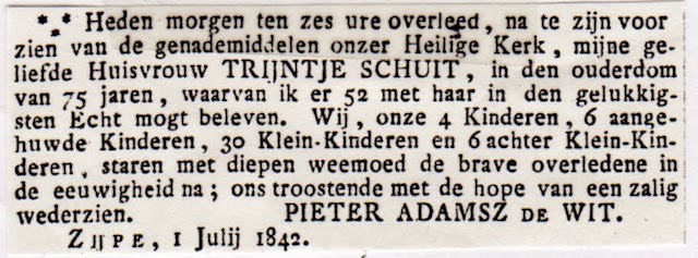 Pieter Adamsz de Wit